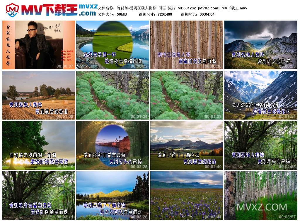 许鹤缤-爱到孤独人憔悴_国语_流行_MD501282